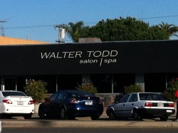 Walter Todd Salon